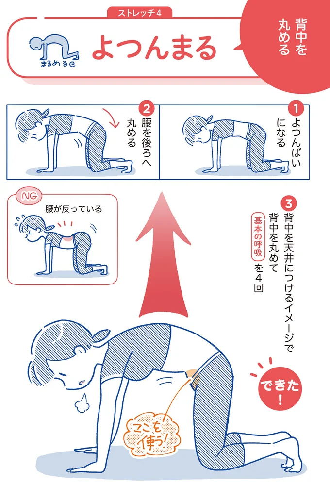 背中を丸める「よつんまる」