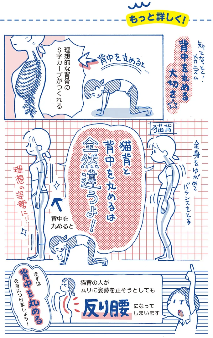 背中を丸める大切さ