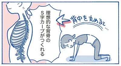 背中を丸めると