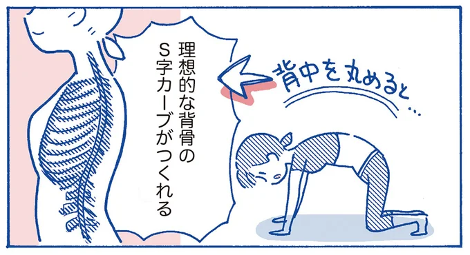 背中を丸めると