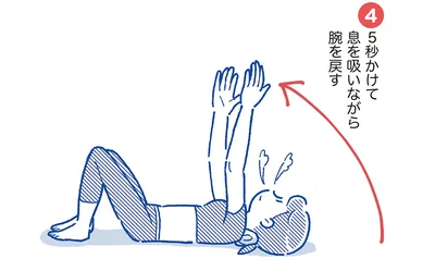首の正しいカーブを作るには