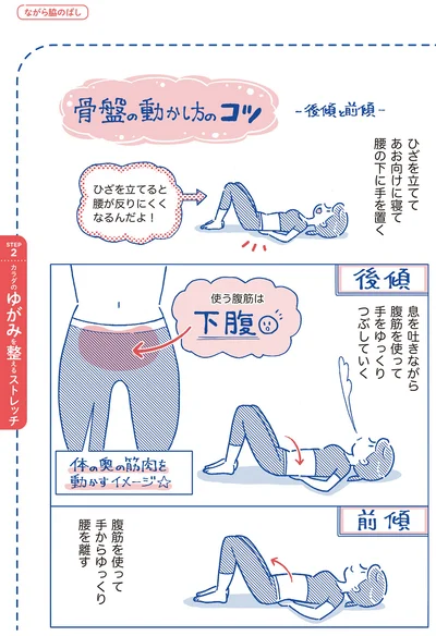 骨盤の動かし方のコツ