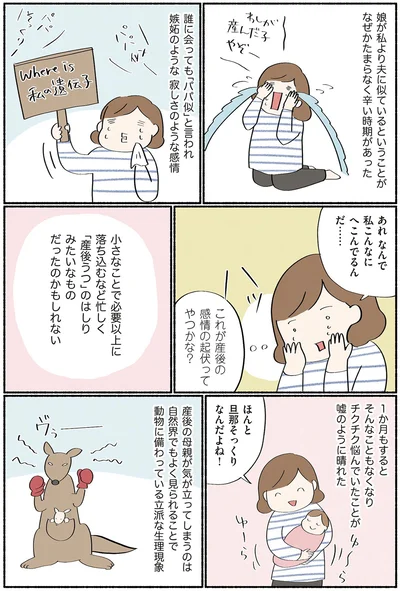 これが産後の感情の起伏ってやつかな？