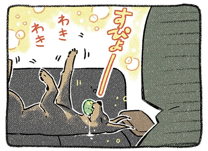 ドーベルマン…?
