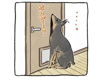 なんで…？