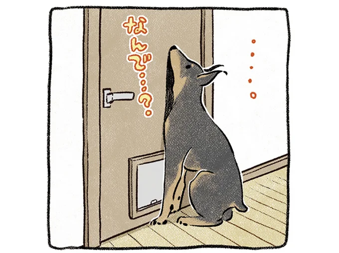 なんで…?