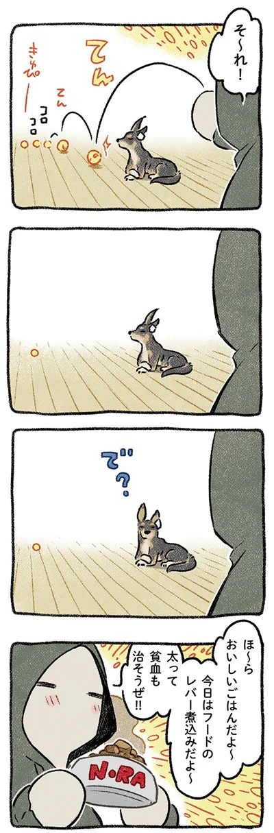 おいしいごはんだよ〜