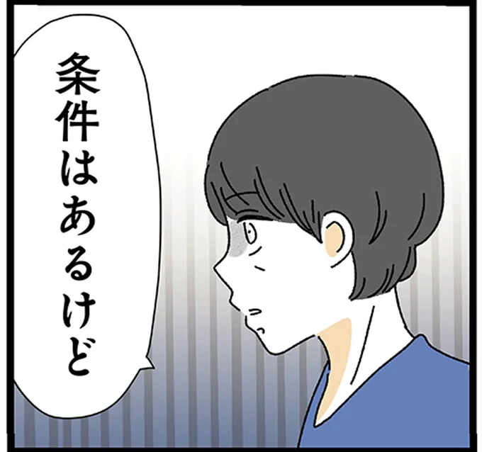 条件はあるけど