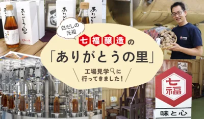 白だしの元祖「七福醸造」の工場見学に行ってきた