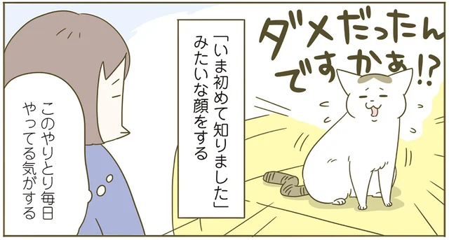 いたずら猫を叱ると「ダメだったんですかぁ!?」という顔。4年間も言ってるじゃないですか！／うちの猫がまた変なことしてる。4（2）