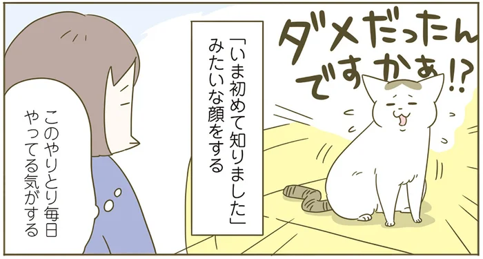 いたずら猫を叱ると「ダメだったんですかぁ!?」という顔。4年間も言ってるじゃないですか！／うちの猫がまた変なことしてる。4（2）
