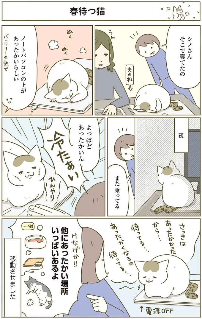 ノートパソコンの上があったかいらしい