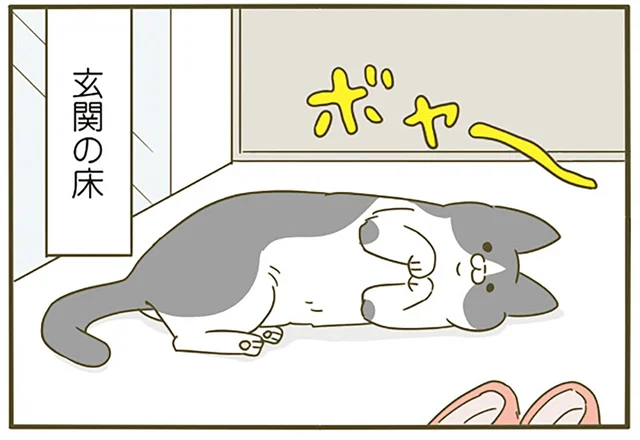 あ、ひんやりプレートを用意しなきゃ。玄関や洗面台、そこら中で猫が落ちている季節／うちの猫がまた変なことしてる。4（4）