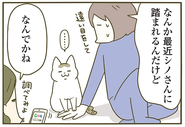 踏んづける以外の手段はありませんでしたか？ 遠い目をして飼い主の手を踏む猫の真意は／うちの猫がまた変なことしてる。4（5）