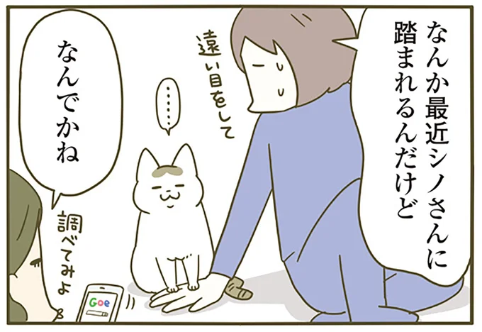 最近踏まれるんだけど