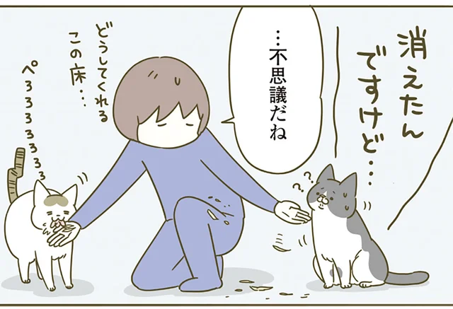 ふわふわの鰹節に鼻息荒く大興奮！ 「いいにおい、いいにおい」目の前で消え去り困惑する猫／うちの猫がまた変なことしてる。4（6）