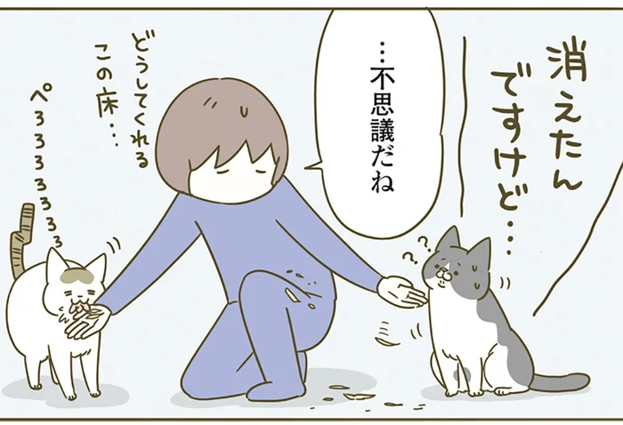 ふわふわの鰹節に鼻息荒く大興奮！ 「いいにおい、いいにおい」目の前で消え去り困惑する猫／うちの猫がまた変なことしてる。4（6）