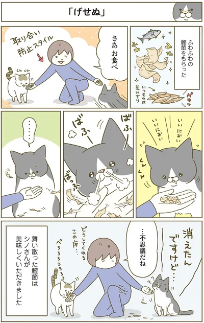 消えたんですけど…
