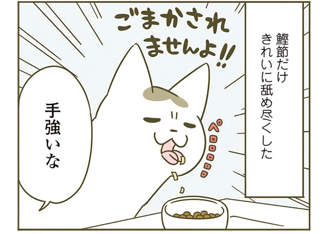 超不評の試供品フード、どうしたら食べてくれる？ 鰹節を混ぜて猫たちに提供してみた結果／うちの猫がまた変なことしてる。4（7）