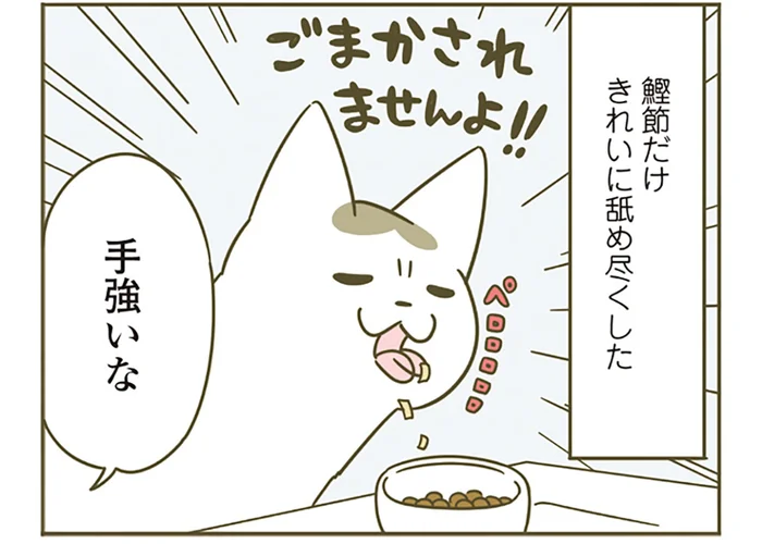 超不評の試供品フード、どうしたら食べてくれる？ 鰹節を混ぜて猫たちに提供してみた結果／うちの猫がまた変なことしてる。4（7）