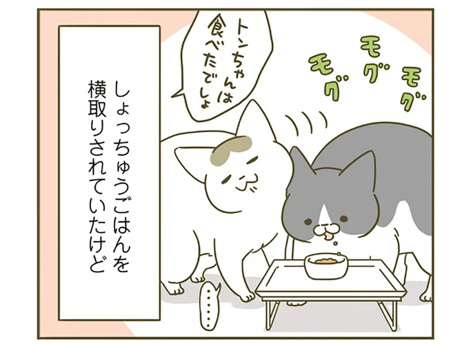 しょっちゅうごはんを横取りされていたけど