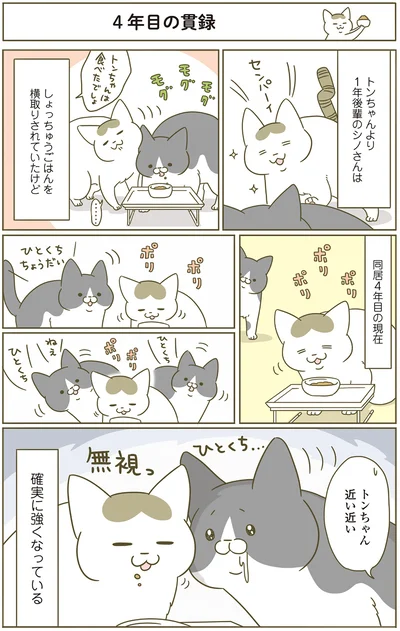 同居4年目の現在
