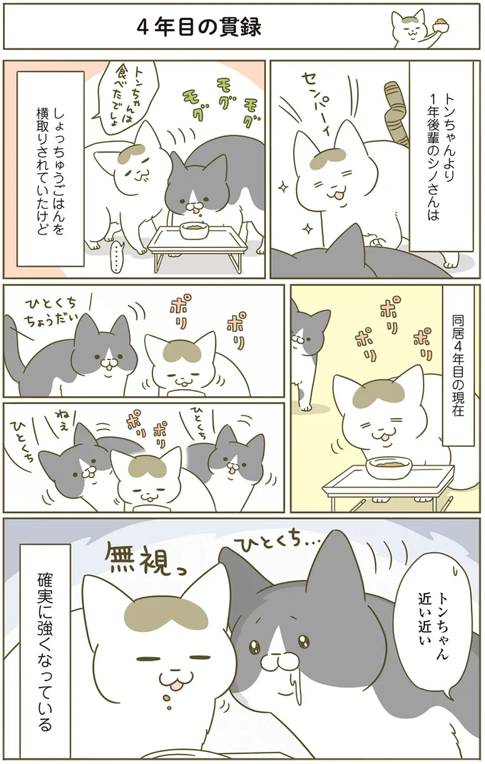 同居4年目の現在