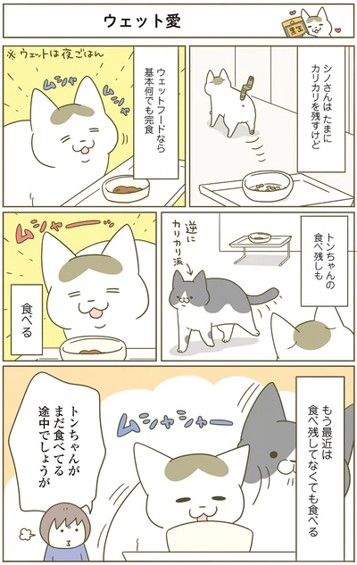 トンちゃんがまだ食べてる途中でしょうが