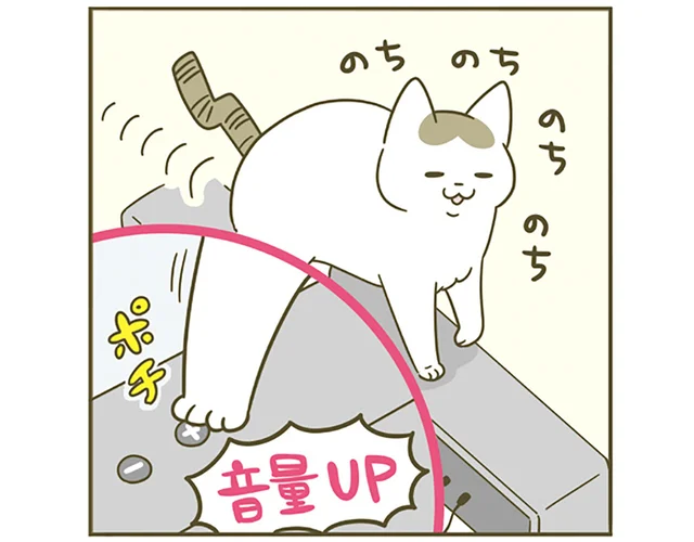 あなたの足が原因です！ 「うるさいんですけど」猫によるテレビの無限音量アップ事故／うちの猫がまた変なことしてる。4（9）