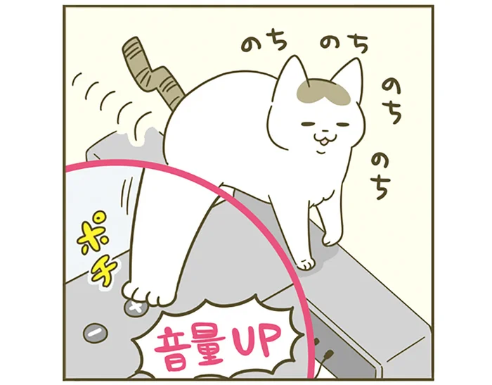 あなたの足が原因です！ 「うるさいんですけど」猫によるテレビの無限音量アップ事故／うちの猫がまた変なことしてる。4（9）