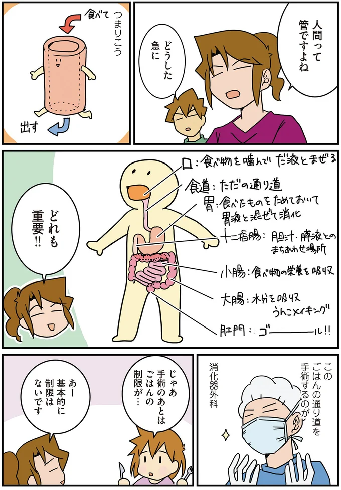 人間は管