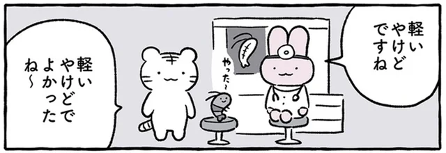 「軽いやけどでよかったね～」料理になってしまったブラックタイガーくんの診察／ホワイトタイガーとブラックタイガー（4）