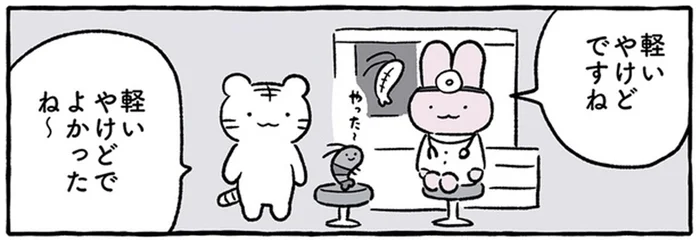 「軽いやけどでよかったね～」料理になってしまったブラックタイガーくんの診察／ホワイトタイガーとブラックタイガー（4）