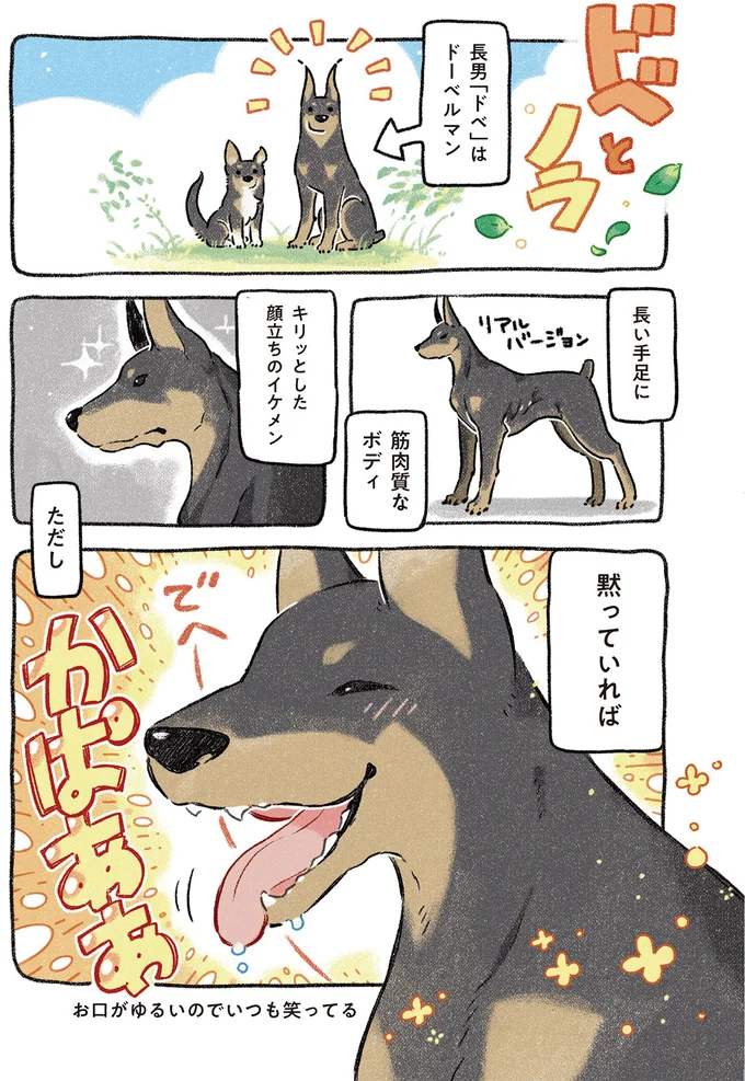 ドベ