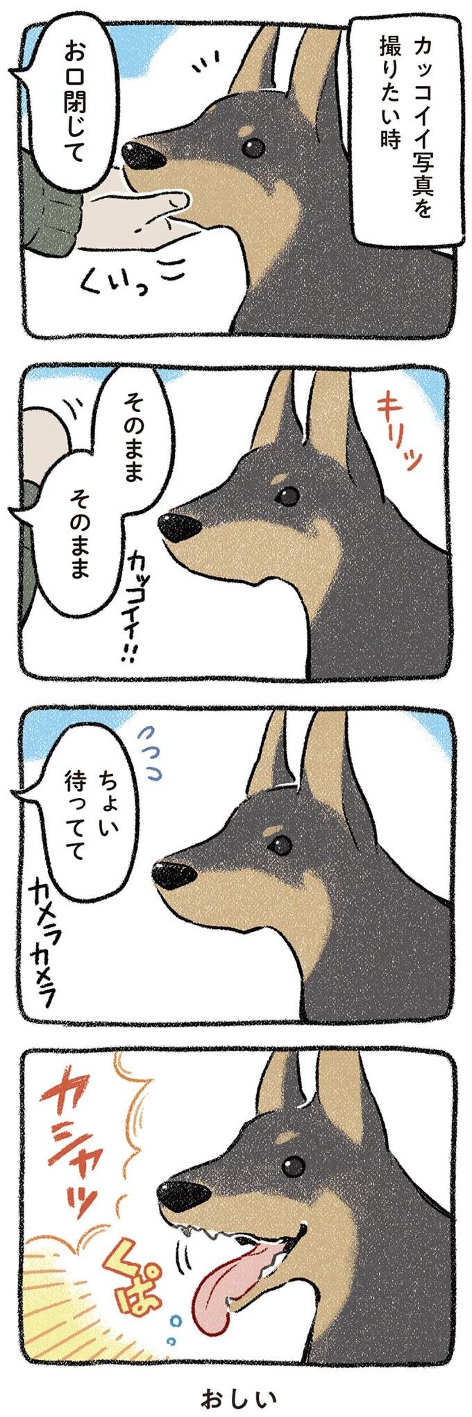 カッコイイ写真を撮りたい時