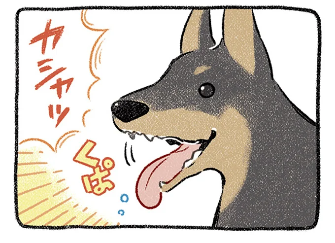 お口が開いちゃう