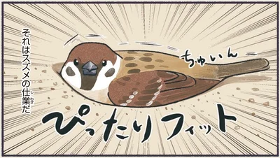 ぴったりフィット