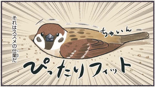 これでもシャワー中!?スズメの集団砂浴び／意外と知らない鳥の生活（1）