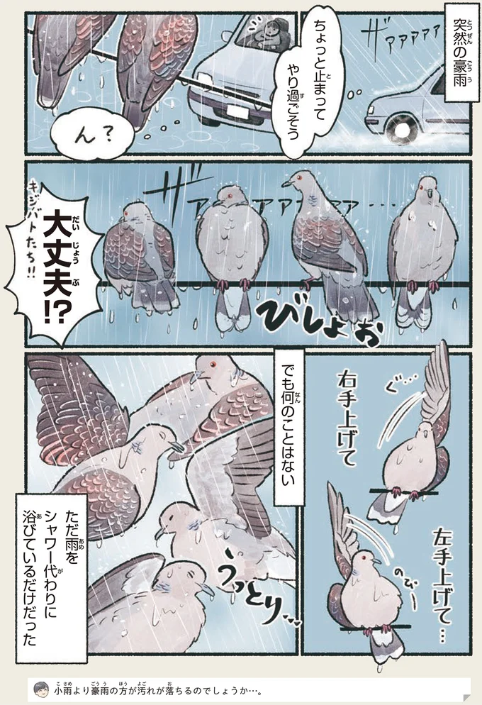 『意外と知らない鳥の生活』より