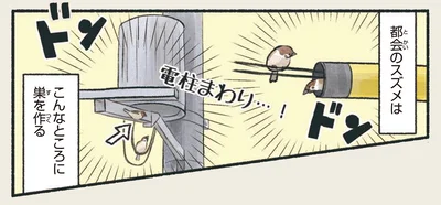 こんなところに巣を作る