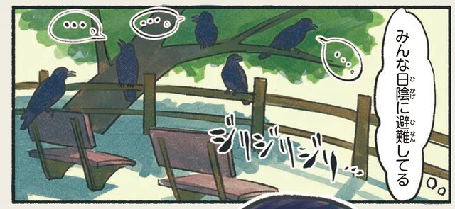 やっぱり黒いと暑い？ぽかーんと口を開け、日陰に避難するハシブトカラス／意外と知らない鳥の生活（5）