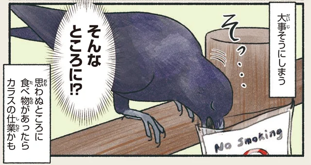 思わぬところで食べ物を発見？ハシブトカラスの習性／意外と知らない鳥の生活（6）