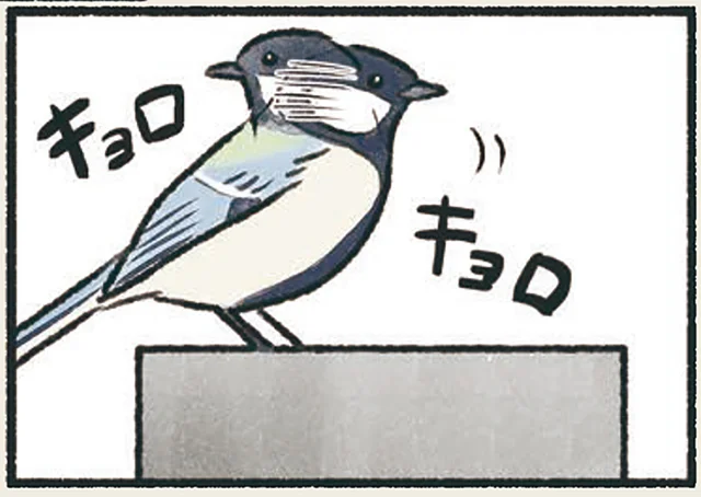 マイホームの形はいろいろ。思わぬ場所を巣にするシジュウカラ／意外と知らない鳥の生活（9）
