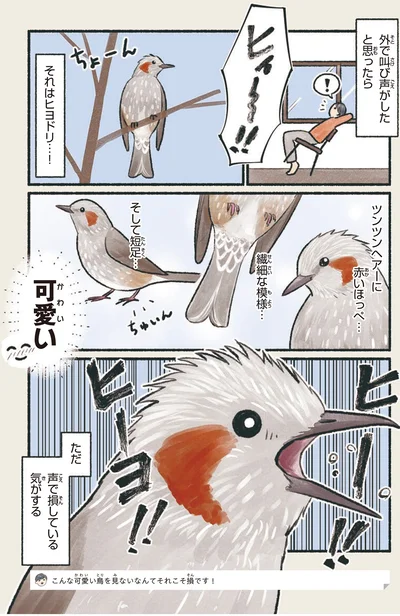 ただ声で損している気がする