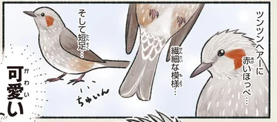 ツンツンヘアーに赤いほっぺ…