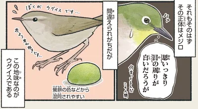 間違えられがちだが