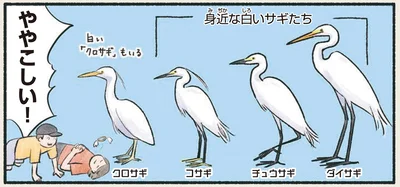 ややこしい！