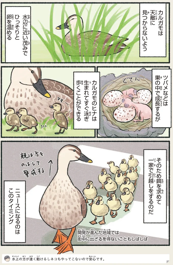 ニュースになるのはこのタイミング