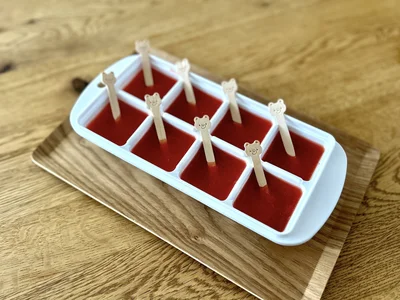 全部流し込んだら、スティックなどを刺して冷凍庫へ