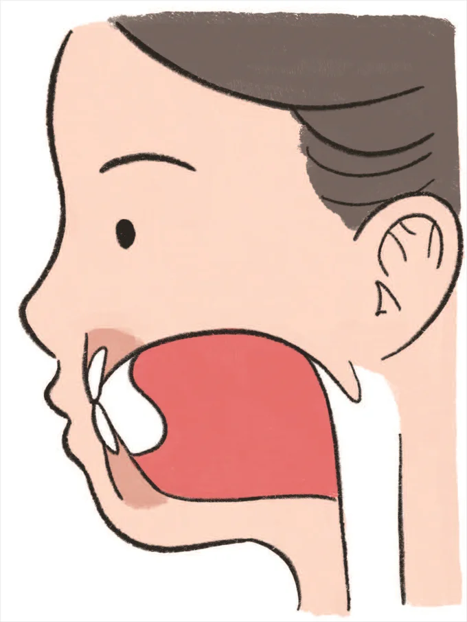 上あごにピッタリとついているのが正常な舌の位置